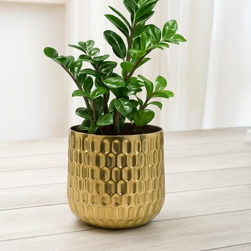 Ekhasa Nostrae by Ekhasa Gold Metal Planter for Indoor Plants | Decorative Metal Pot for Home Decor | Elegant Golden Planter & Metal Flower Pot | Designer Brass-Look Planter for Living Room & Tabletop - Image 1