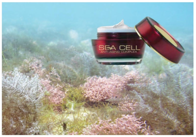 Biologic Solutions Sea Cell Facial Therapy hyper hydrates away the appearance of wrinkles and crepe-paper skin and enhances skin tone and supports skin health - Image 3