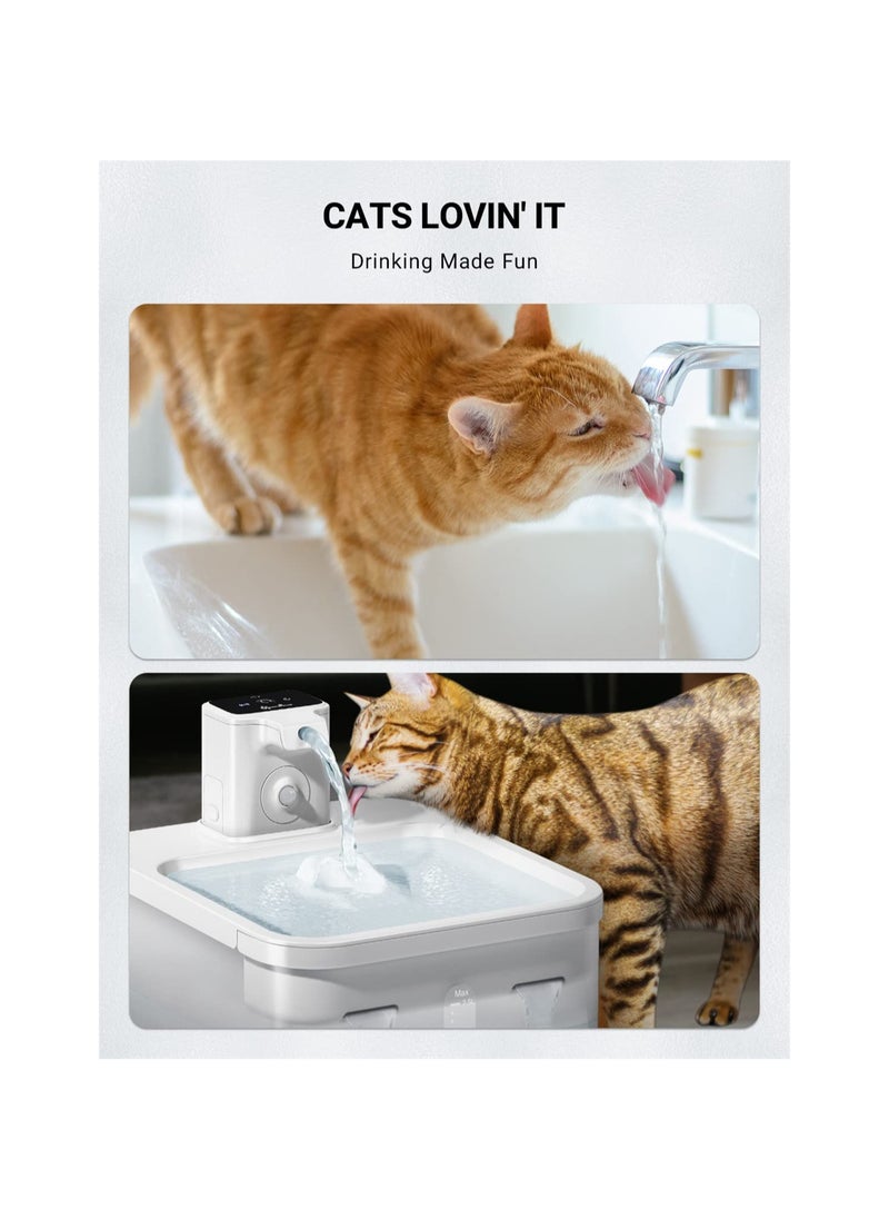 SYOSI - Cat Water Fountain Filters, 6 Packs Replacement Filters for Battery Operated Compatible with DownyPaws Cat Water Fountain DPWFP6, 3 Months Set of Replacement Filters - Image 1