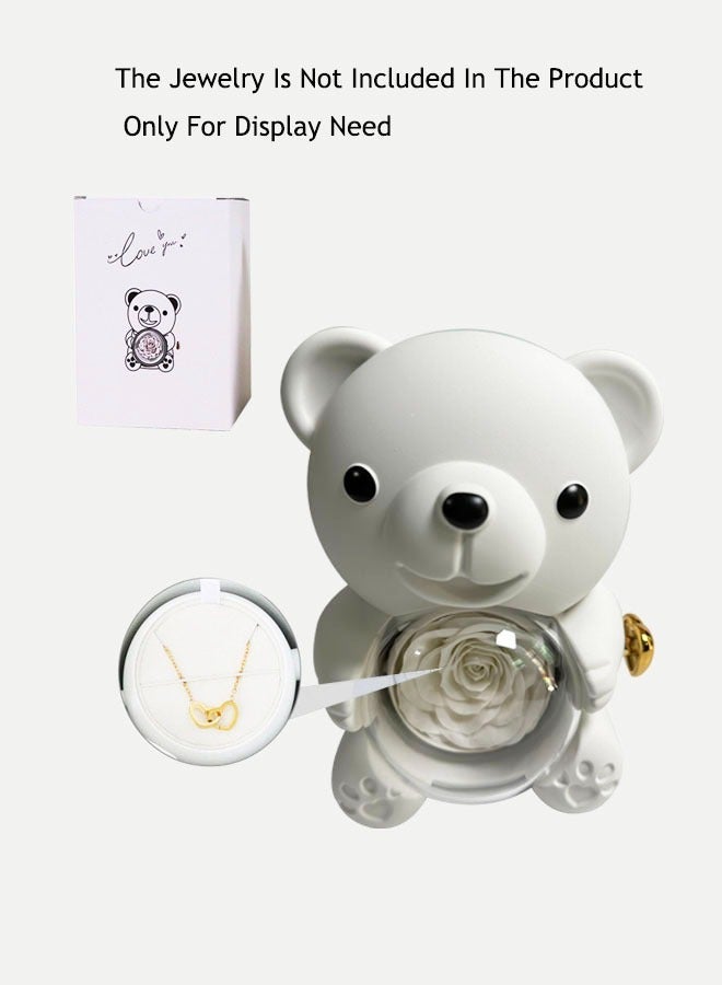 Hugging Bear Rotating Design Gift Box With Red Preserved Real Rose - Image 4