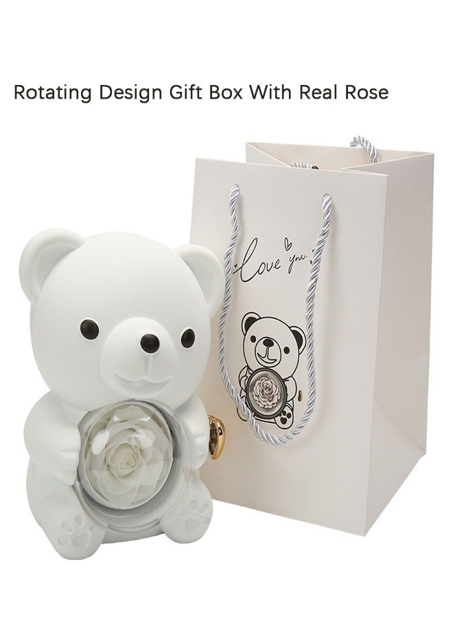 Hugging Bear Rotating Design Gift Box With Red Preserved Real Rose - Image 3