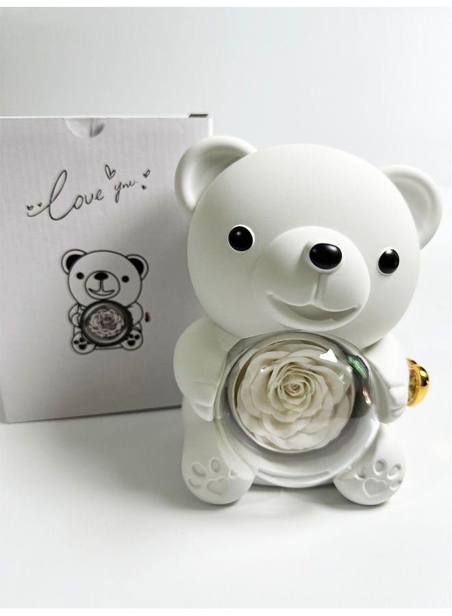 Hugging Bear Rotating Design Gift Box With Red Preserved Real Rose - Image 1
