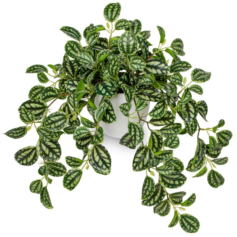 Briful Fake Plants Indoor Artificial Potted Silk Plants Faux Watermelon Peperomia Trailing Vine Plant for Home Office Livingroom Desk Shelf Mantle DecorationGreenWhite  1 Pack