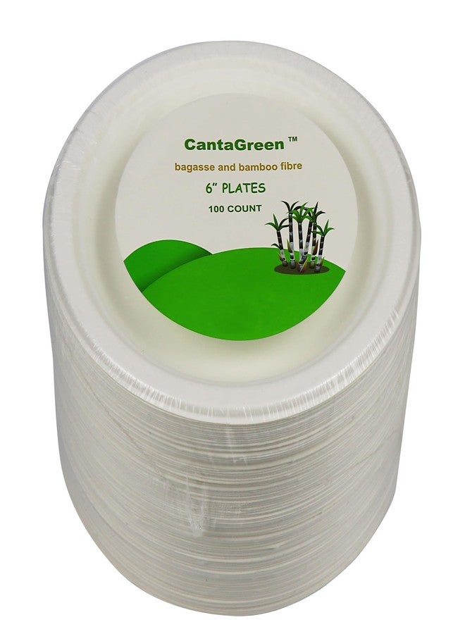 CantaGreen 6 inch Small Compostable Dessert Plates,100 Count Heavyduty Sugarcane/Bagasse and Bamboo Fibre Biodegradable Disposable Paper Plate - Image 5