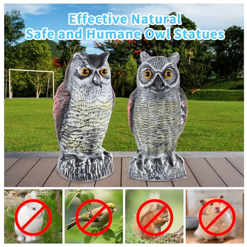 Hedoc 2 Pack Fake Owl Decoys to Scare Birds Away, Great Horned Owl Bird Deterrents, Nature Scarecrow Plastic Pest Repellent, Garden Decor and Yard Decoration for Gardens and Rooftops - Image 3