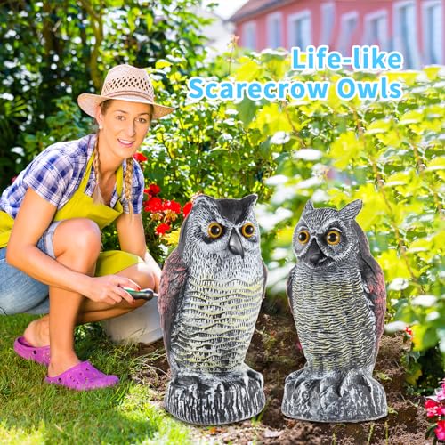 Hedoc 2 Pack Fake Owl Decoys to Scare Birds Away, Great Horned Owl Bird Deterrents, Nature Scarecrow Plastic Pest Repellent, Garden Decor and Yard Decoration for Gardens and Rooftops - Image 2