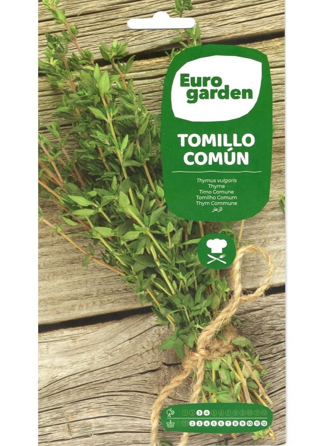 Euro Garden Euro Garden Thyme  - Image 2