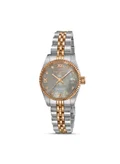 Guy Laroche Warm Grey Mother-of-pearl