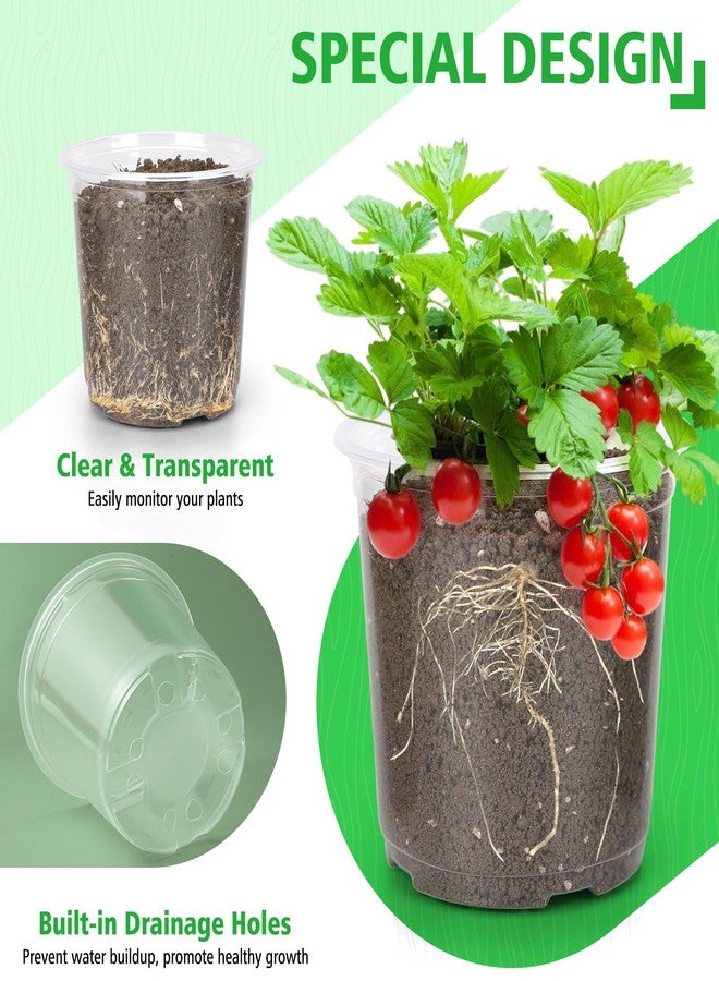 DUNPUTE 10 Inch Large Clear Nursery Pots with Drainage, 5 Pack Plastic Pots for Plants, Ideal Seedling Pots and Plant Pots for Vegetables, Orchids, Aloe, Indoor Outdoor Use (10 inch-5 Pack) - Image 3