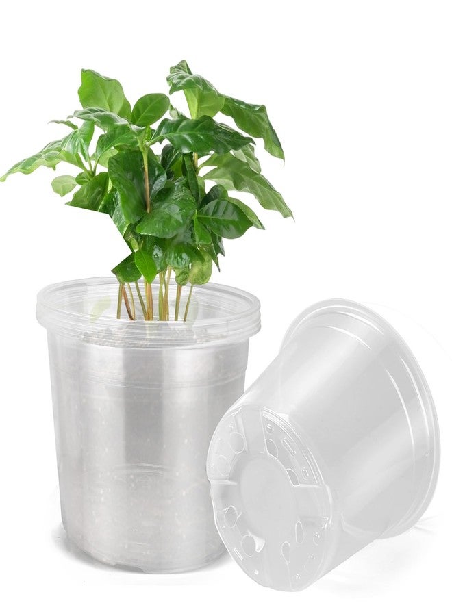 DUNPUTE 10 Inch Large Clear Nursery Pots with Drainage, 5 Pack Plastic Pots for Plants, Ideal Seedling Pots and Plant Pots for Vegetables, Orchids, Aloe, Indoor Outdoor Use (10 inch-5 Pack) - Image 1