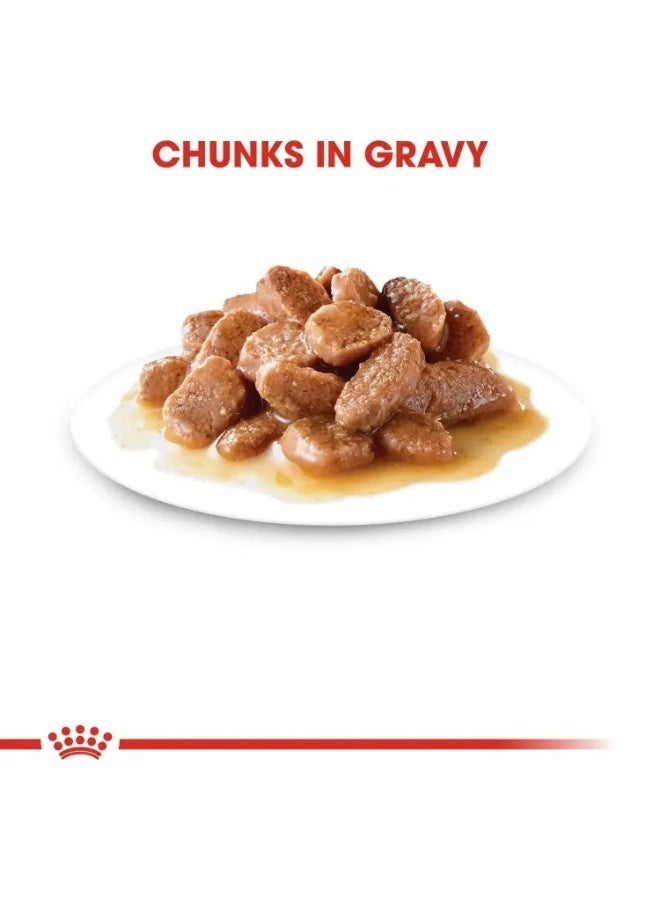 Royal Canin Nutrition Urinary Care (Wet Food-Pouches) 12x85 g - Image 4