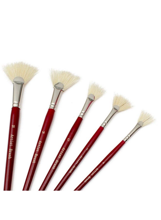 Chrome Artist Quality Fan Brushes Anti-Shedding Artist Soft Hog Bristle Paint Brush Set for Acrylic Watercolor Oil Painting,5 Piece Set - Image 1