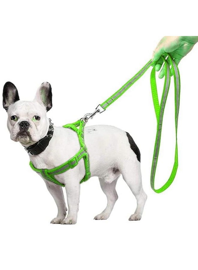 مجموعة حزام ومقود للكلاب بنمط شريط نايلون 15 مم من الراديوم/العاكس، مثالية للجراء والكلاب من السلالات الصغيرة (أخضر) - Image 1
