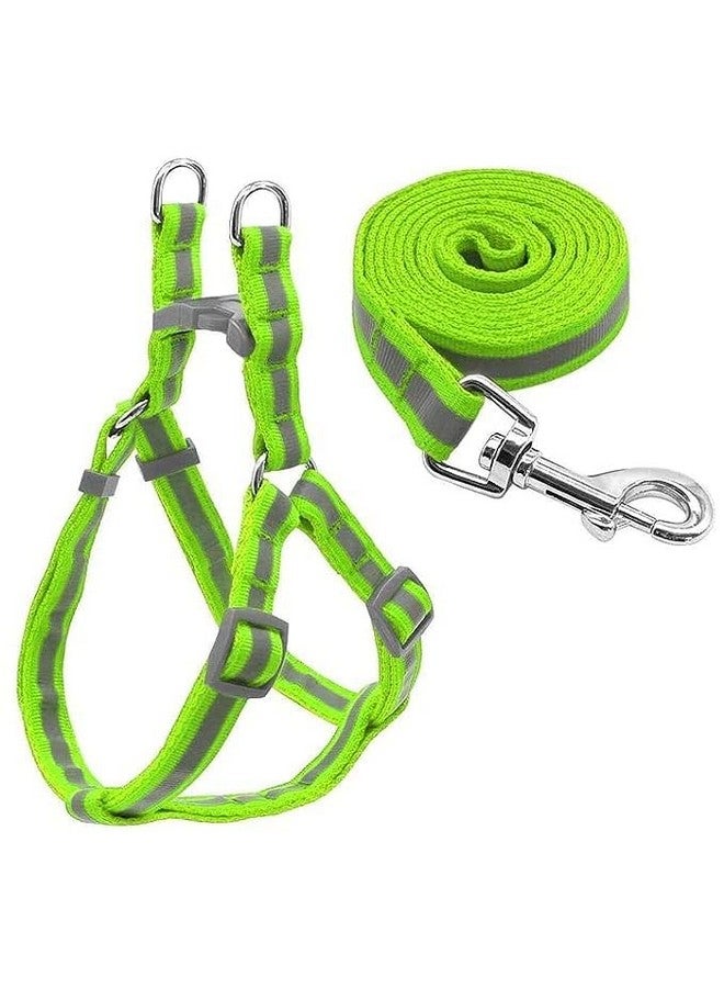 مجموعة حزام ومقود للكلاب بنمط شريط نايلون 15 مم من الراديوم/العاكس، مثالية للجراء والكلاب من السلالات الصغيرة (أخضر) - Image 2