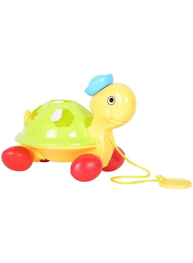Little's Littles Pull Along Shape Sorting Tortoise - Image 1