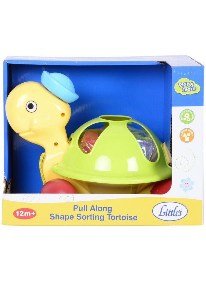 Little's Littles Pull Along Shape Sorting Tortoise - Image 4