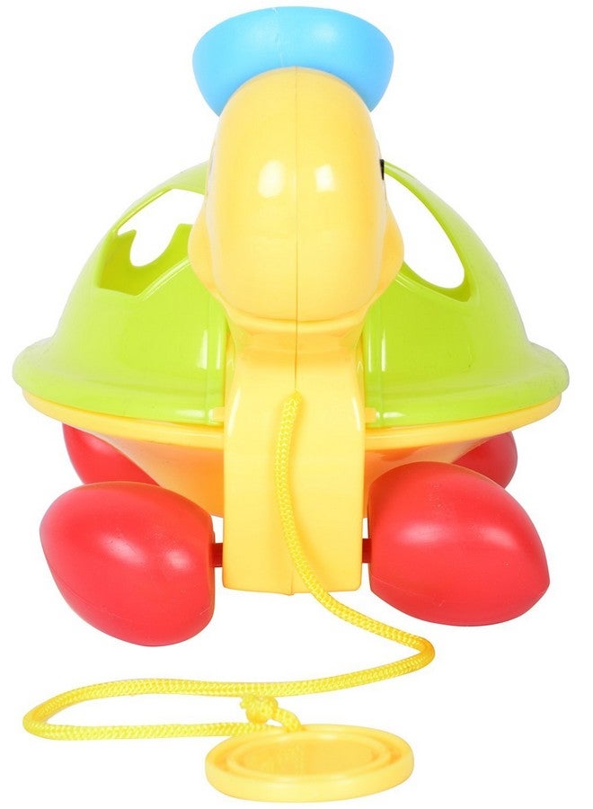 Little's Littles Pull Along Shape Sorting Tortoise - Image 2