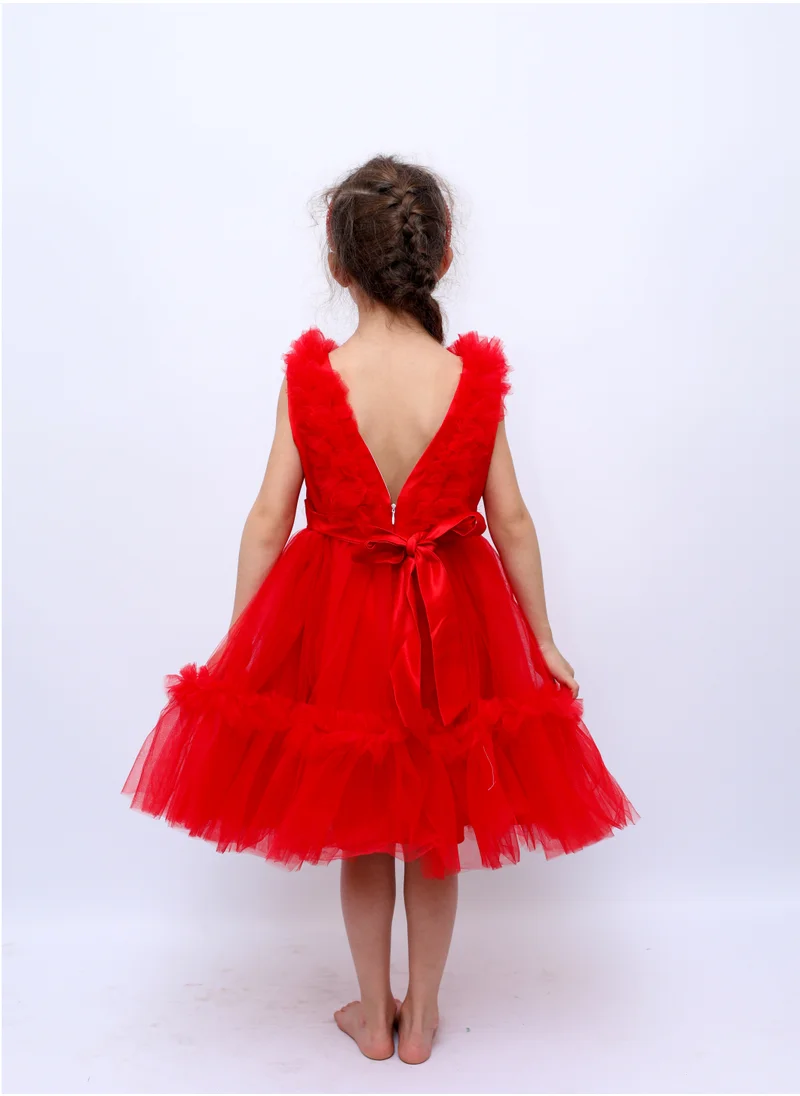 D'Daniela Ruffled Tulle Dress