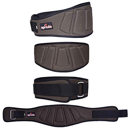 APRODO Power Guidance Nylon Weightlifting Belt Lumbar Waist Support Trainer Protector Belts for Weight Lifting Fitness Sport Gym (Brown, Small) - Image 5