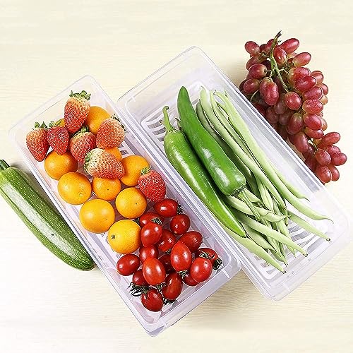 Clazkit Plastic Food Storage Containers,Fridge Organizer For Keep Fruits, Vegetables, Meat, Fish Fresh And Dry-1500 Ml - Pack Of 2, Transparent - Image 3