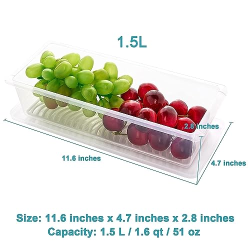 Clazkit Plastic Food Storage Containers,Fridge Organizer For Keep Fruits, Vegetables, Meat, Fish Fresh And Dry-1500 Ml - Pack Of 2, Transparent - Image 2