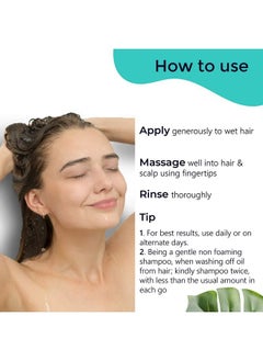 PILGRIM Jeju Hair Care Trio Set ; Volcanic Lava Ash Sulfate Free Shampoo Argan Oil Hair Maskargan Oil Hair Conditioner 200Ml ; All Skin ; Men And Women ; Korean Beauty Secrets  - Image 4