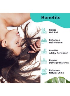 PILGRIM Jeju Hair Care Trio Set ; Volcanic Lava Ash Sulfate Free Shampoo Argan Oil Hair Maskargan Oil Hair Conditioner 200Ml ; All Skin ; Men And Women ; Korean Beauty Secrets  - Image 5