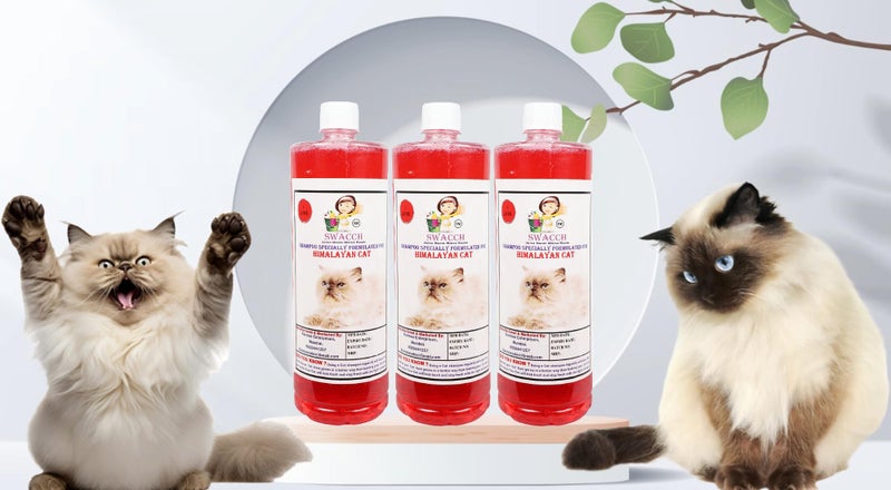 Swacch Shampoo Specially Formulated for Himalayan Cat (1 Litre) (Pack of 3) Jasmine - Image 1
