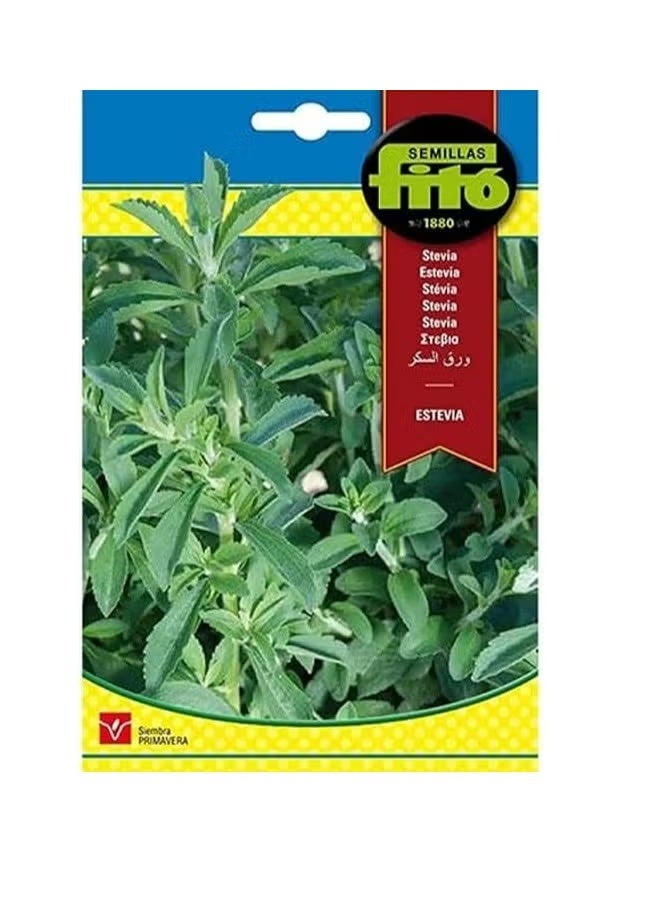 Fito Estevia Stevia Premium Quality Seeds by Semillas Fitó
