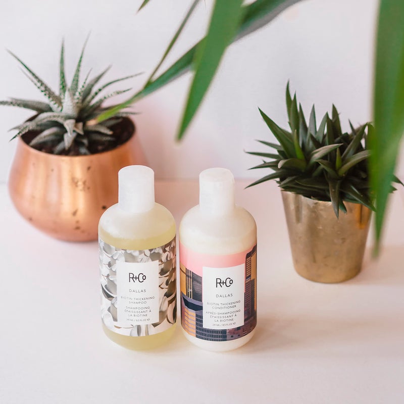 R+Co Dallas Biotin Thickening Shampoo + Conditioner Kit | Thickens, Nourishes + Strengthens | Vegan + Cruelty-Free | 17 Oz - Image 5