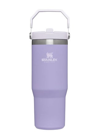 STANLEY IceFlow 30 oz Stainless Steel Tumbler with Leak-Resistant Flip Straw - Vacuum Insulated Water Bottle for Home, Office, or Car, Keeps Drinks Cold for 12 Hours, Lavender Color - pzsku/Z756E68DCB2A6A86F9C95Z/45/1747308352/e798d905-f680-4739-9252-a6803a9d3df4