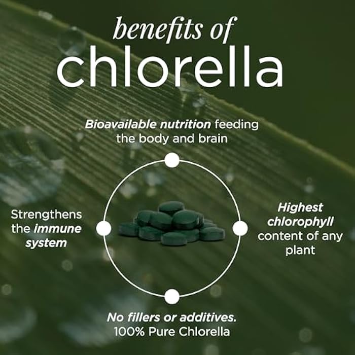 ENERGYBITS RECOVERYbits - Organic Chlorella Tablets - Plant-Based Algae Superfood - Chlorophyll - Cracked Cell Wall - Energy - Immune System - Detox - Keto - Vegan - Non-GMO - Large Bag - 1000 Tablets - Image 3