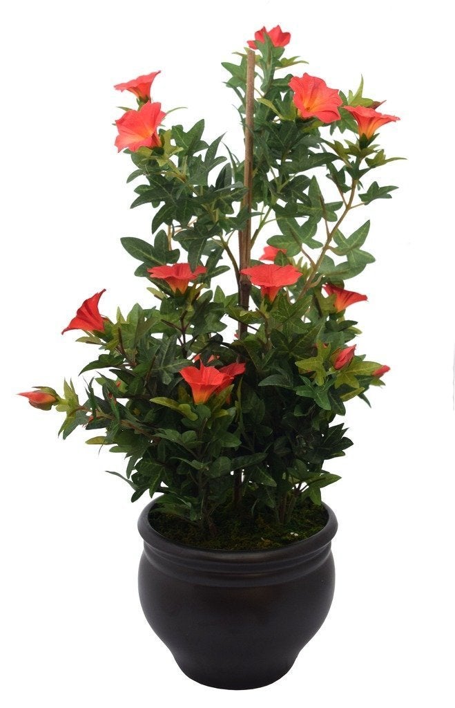 Fourwalls Premium Range Artificial Morning Glory Plant with Stylish Ceramic Vase (50 cm Tall, Orange) - Image 4