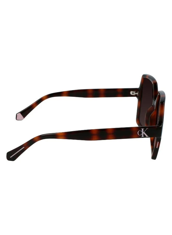 Calvin Klein Jeans  FULL RIM INJECTED CALVIN KLEIN JEANS SUN CKJ21629SN  | Best Price UAE