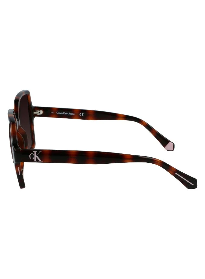 Calvin Klein Jeans  FULL RIM INJECTED CALVIN KLEIN JEANS SUN CKJ21629SN  | Best Price UAE