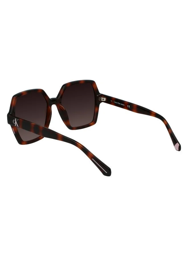 Calvin Klein Jeans  FULL RIM INJECTED CALVIN KLEIN JEANS SUN CKJ21629SN  | Best Price UAE