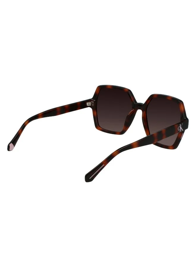 Calvin Klein Jeans  FULL RIM INJECTED CALVIN KLEIN JEANS SUN CKJ21629SN  | Best Price UAE
