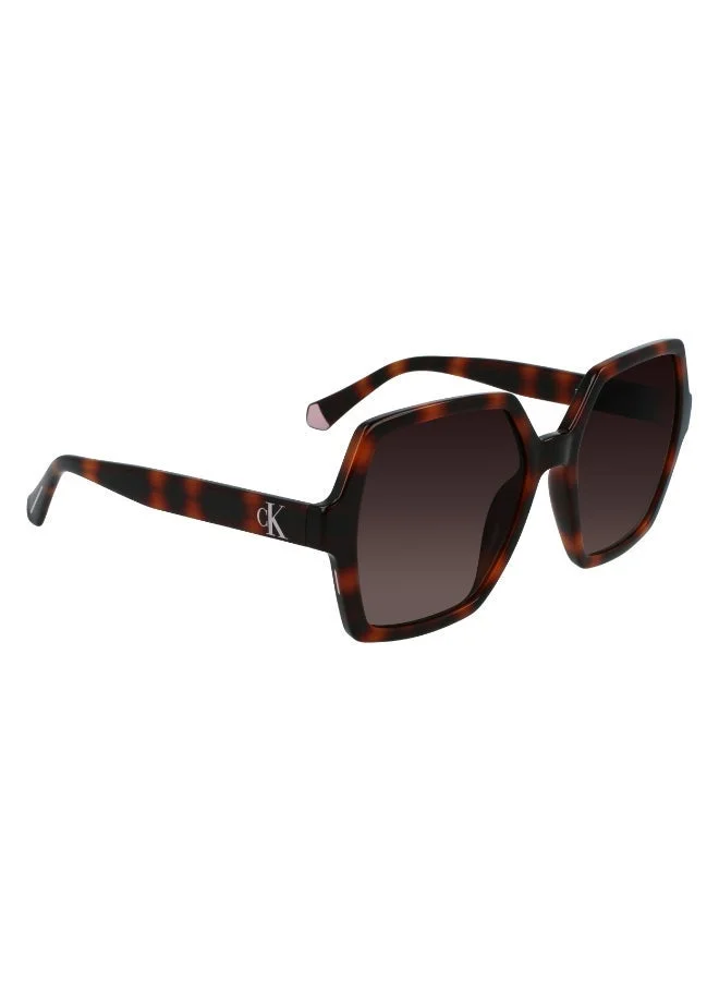 Calvin Klein Jeans  FULL RIM INJECTED CALVIN KLEIN JEANS SUN CKJ21629SN  | Best Price UAE