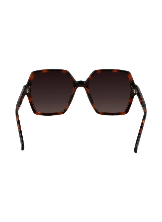 Calvin Klein Jeans  FULL RIM INJECTED CALVIN KLEIN JEANS SUN CKJ21629SN  | Best Price UAE