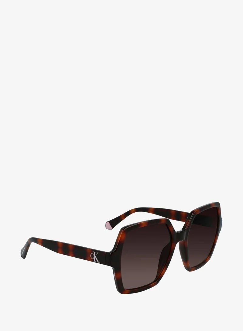 Calvin Klein Jeans  FULL RIM INJECTED CALVIN KLEIN JEANS SUN CKJ21629SN  | Best Price UAE