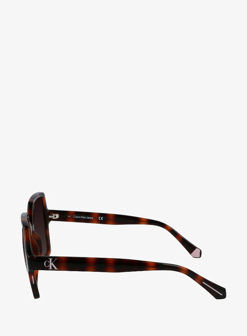 Calvin Klein Jeans  FULL RIM INJECTED CALVIN KLEIN JEANS SUN CKJ21629SN  | Best Price UAE