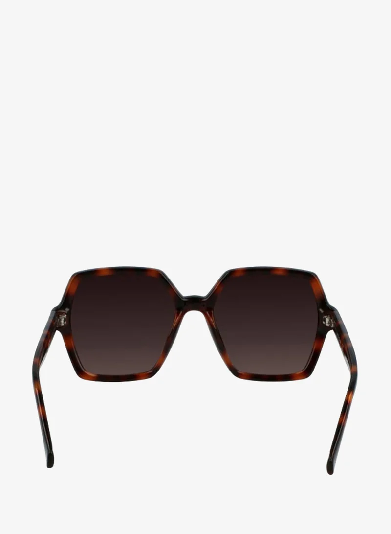 Calvin Klein Jeans  FULL RIM INJECTED CALVIN KLEIN JEANS SUN CKJ21629SN  | Best Price UAE