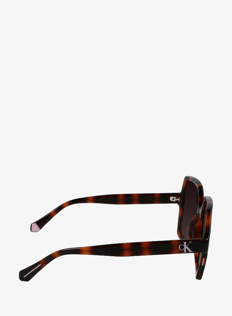 Calvin Klein Jeans  FULL RIM INJECTED CALVIN KLEIN JEANS SUN CKJ21629SN  | Best Price UAE