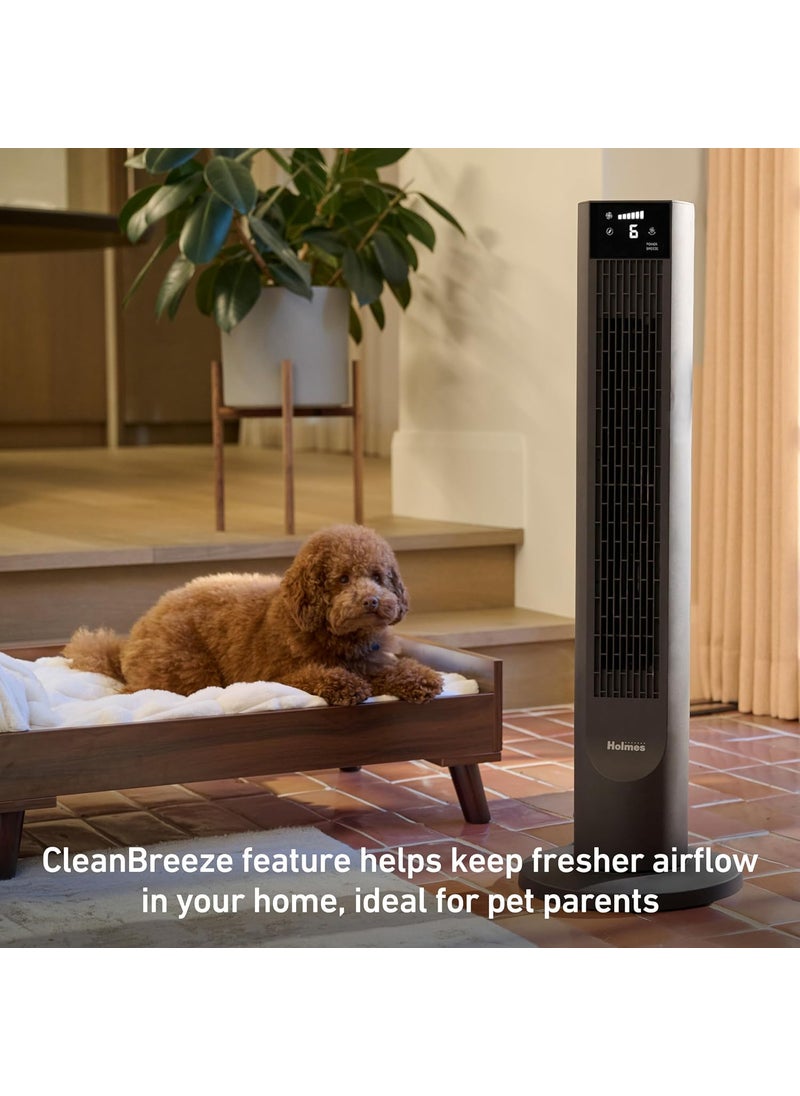 Holmes Holmes 36 CleanBreeze Digital Tower Fan with Removable Blade ClearRead Display 75 Oscillation 6 Speeds 4 Modes 12Hour Timer Home Bedroom or Office Remote Control Matte Black  - Image 2