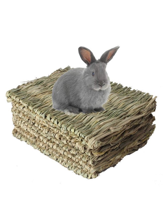 كاثسون بساط عشب الأرانب من kathosn مكون من 8 قطع، بساط عشب منسوج طبيعي للحيوانات الأليفة، بساط عش الأرانب، ألعاب مضغ للهامستر والببغاء والأرانب والقنفذ وخنزير غينيا والأرنب والحيوانات الصغيرة الأخرى - Image 1