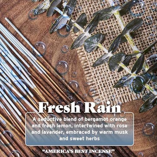Wild Berry Incense Sticks - Fresh Rain - Clean Crisp Fragrance with Bergamot and Lavender - Hand Dipped in The USA (100 Count) - Image 3