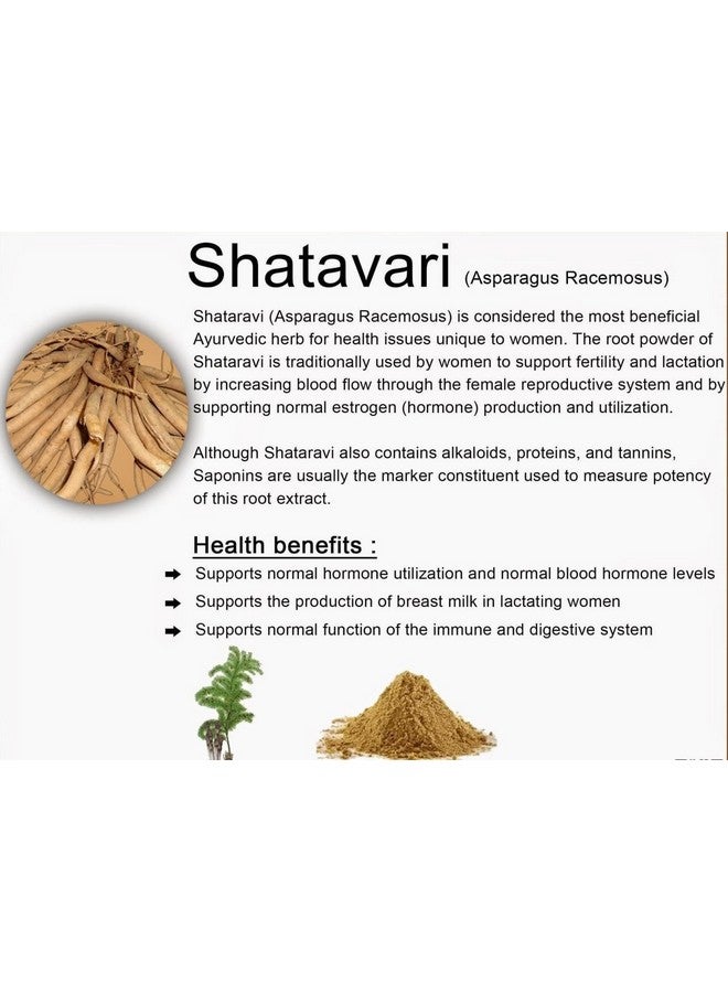 Organic Herbs أعشاب عضوية شاتافاري (أسبارجوس راسيموس) مسحوق لصحة الهضم والحفاظ على توازن صحة المرأة 200 جرام - Image 3