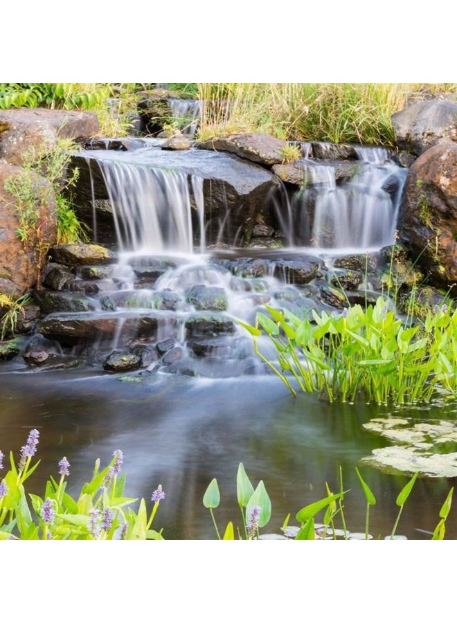 HALF OFF PONDS Patriot Minuteman Ionizer - Pond Water Management System, for to 25,000 Gallons - Image 2