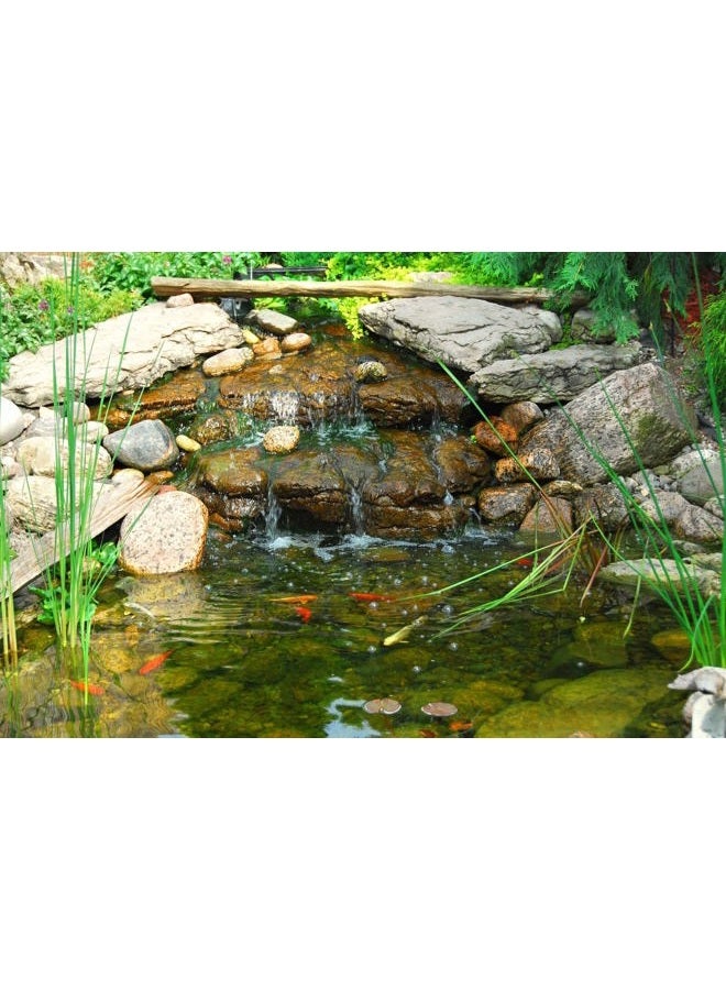 HALF OFF PONDS Patriot Minuteman Ionizer - Pond Water Management System, for to 25,000 Gallons - Image 4