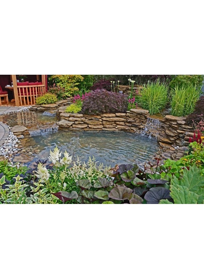 HALF OFF PONDS Patriot Minuteman Ionizer - Pond Water Management System, for to 25,000 Gallons - Image 3